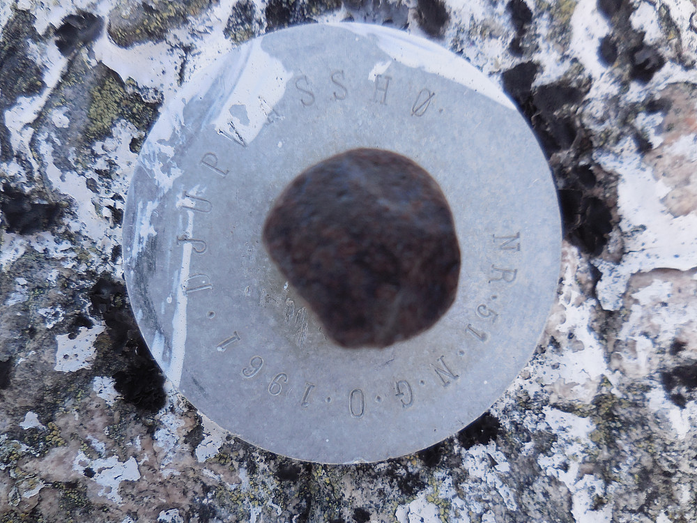 På toppen av Djupvassegga, 1546 moh. I 1961 het tydeligvis dette fjellet for Djupvasshø!