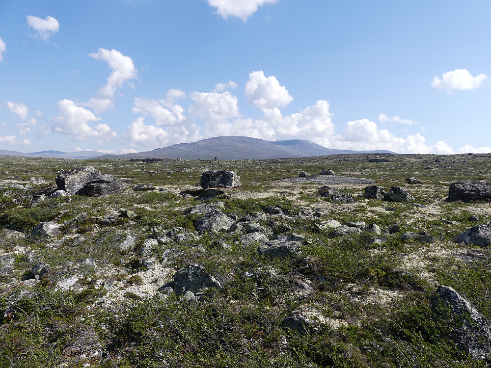 Horrungen i øst.