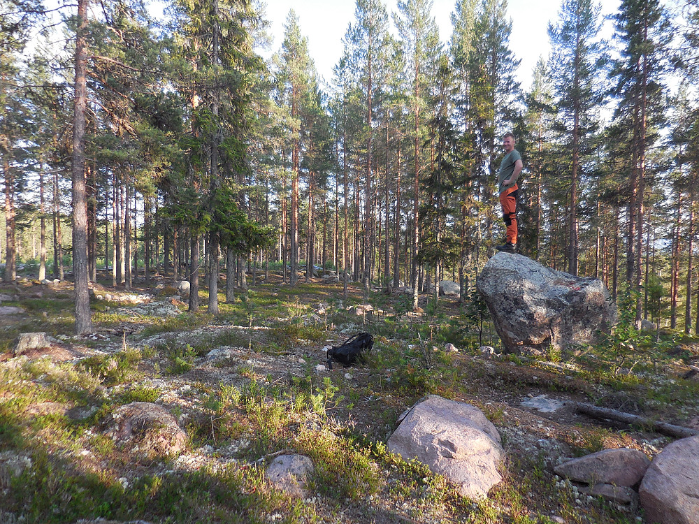 Morten på Sørvest for Tuvtjennet, 393 moh.