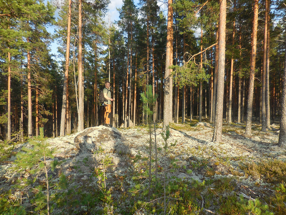 Morten på Vest for Orrhøgda, 353 moh.