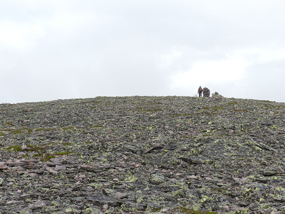 Slik ser det ut på toppen av Tannvola, 1225 moh.