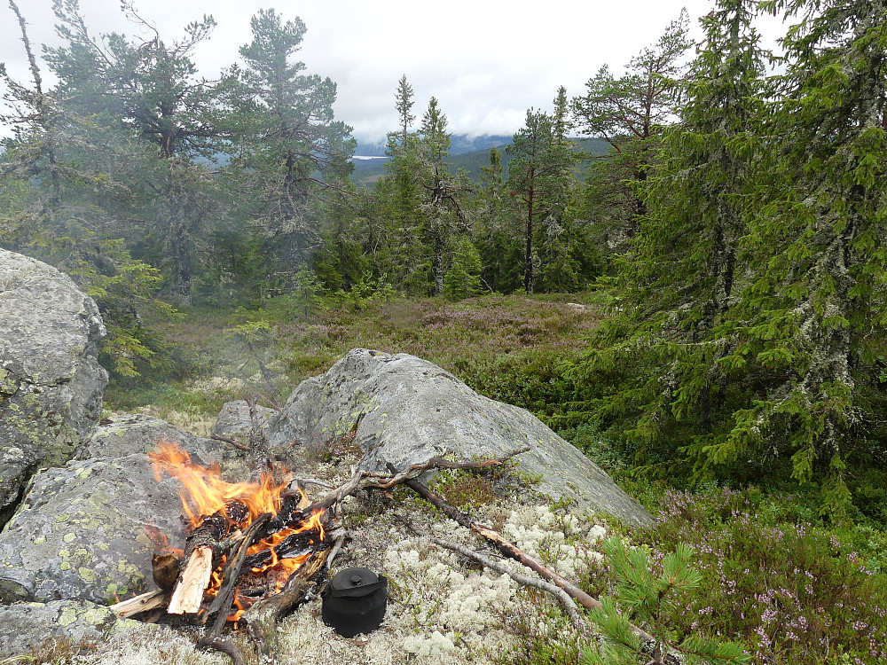 Det blir opplett og vi får litt utsikt. Fra Paradisberget og mot Julussdalen. Ryssjøen skimtes gjennom skogen.