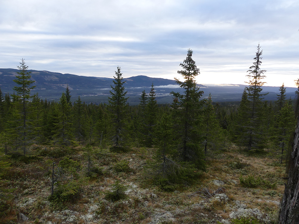 Fra oppunder Fugleåsen med utsikt mot Deset og Deifjellet.