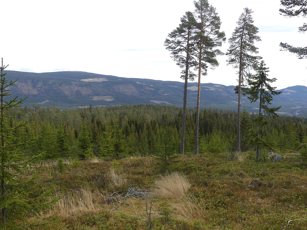 Utsikt over til Løsset østside og Fagerfjellet og Deifjellet.