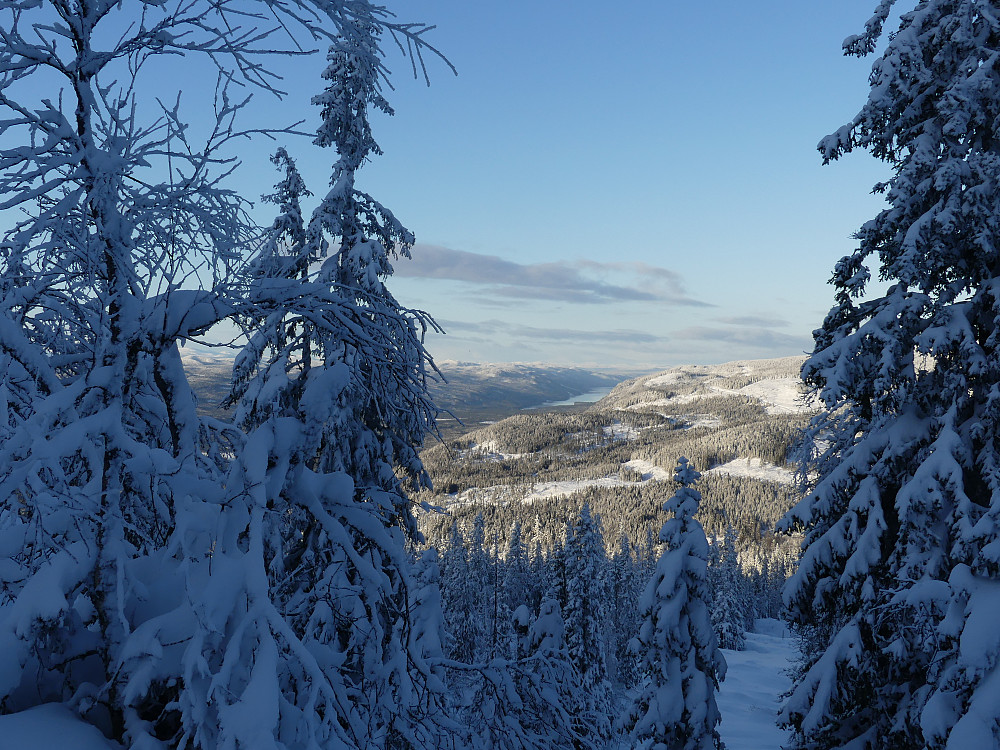 Nordover mot Rendalen. Storsjøen i det fjerne.