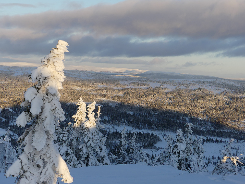 Mot Blikufjellet i Osdalen.