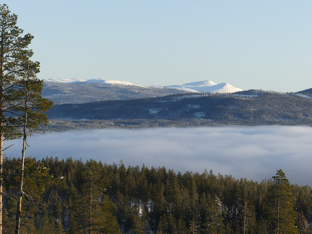 Mot Trysilfjellet. Skodda ligger tjukk over Osensjøen.