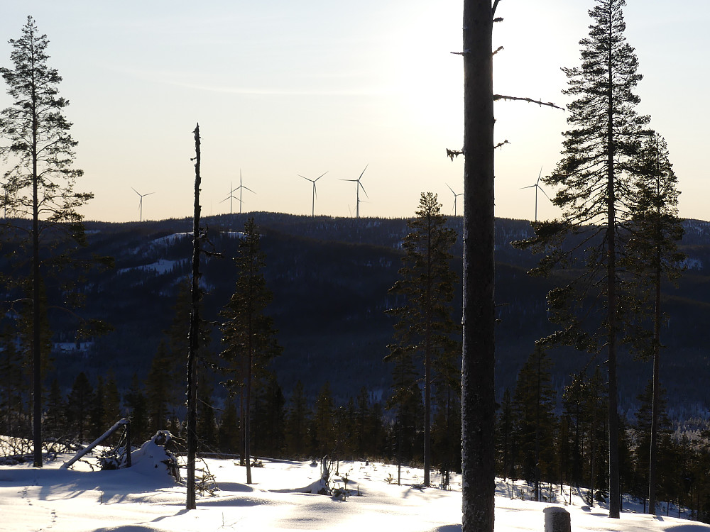 Noen av vindmøllene på Raskiftet fra Sørøstre Jøssåsen.