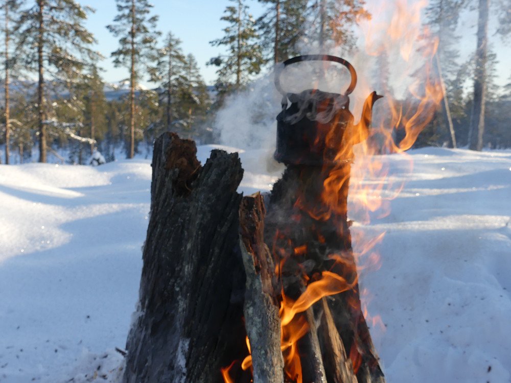 Jeg må koke kaffe i dag også. Her på toppen av Jøssåsen, 614 moh.