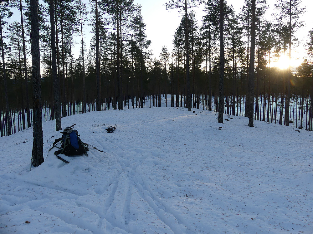 På toppen av Sør for Deisjøen, 387 moh.