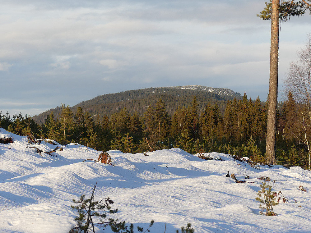 Deifjellet ses rett i sør.