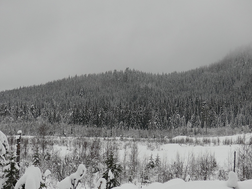 Sør for Østre Yglekletten, 474 meter høy, går så vidt klar av tåka.