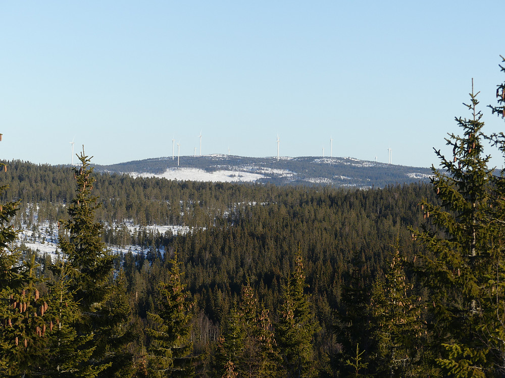 Raskiftet fra toppen av Vesteråsen, 596 moh.