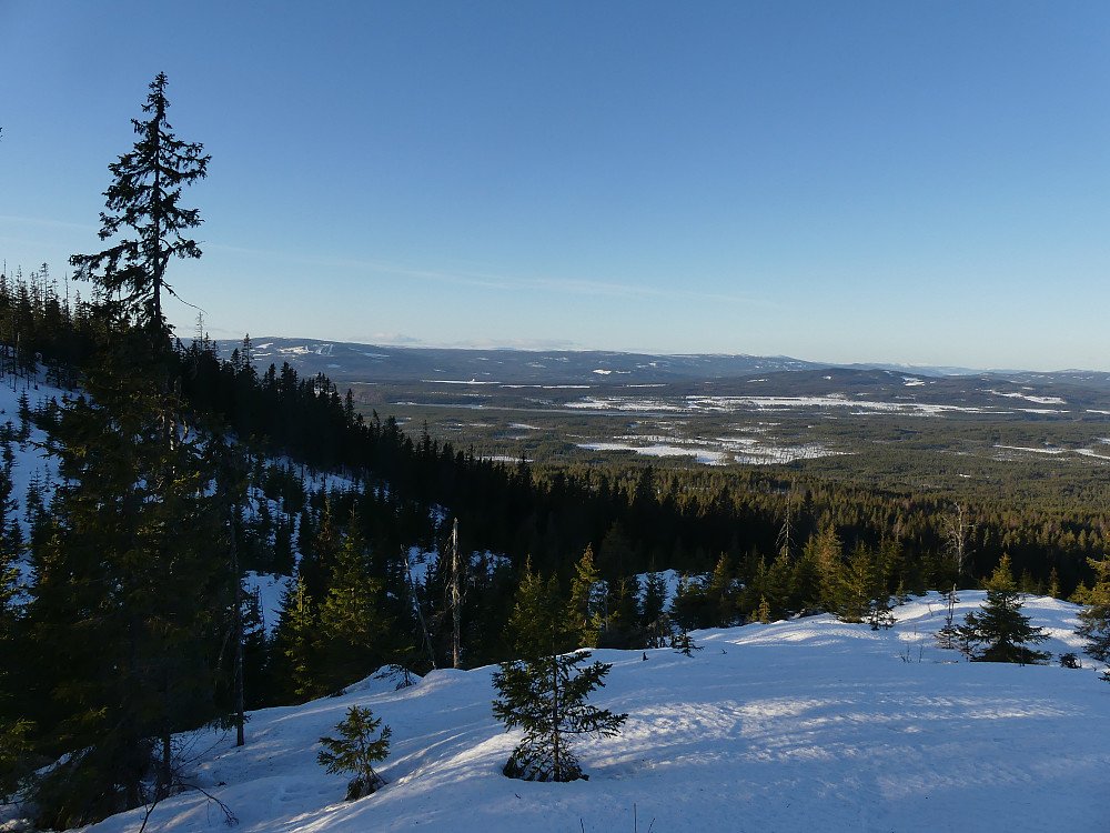 Vestover fra Vesteråsen. Løpsjøen midt i bildet.
