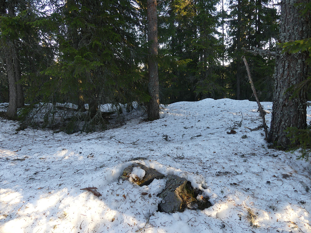 Den beskjedne varden på Svarttjennsåsen, 580 moh.