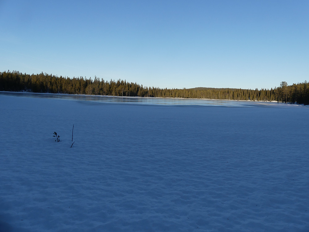 Svarttjennet.
