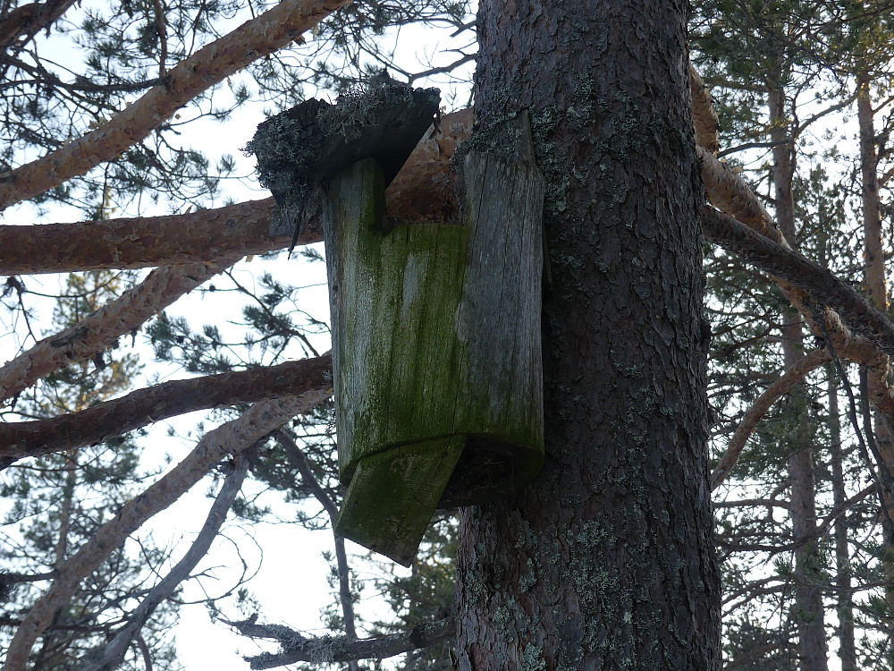 Gammel forfallen perleugleholk.