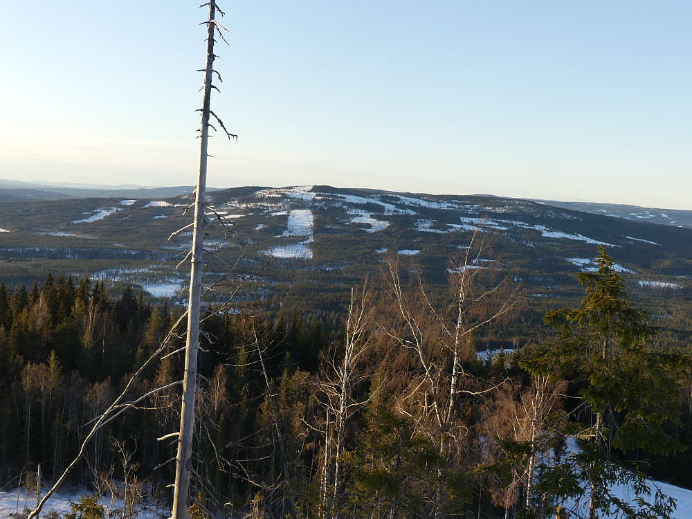 Skjærnupen fra Blikkberget. Kommunegrensa mellom Elverum og Åmot ses tydelig. Den lange hogstflata og videre til venstre er i Elverum. På høyre side ligger Åmot.