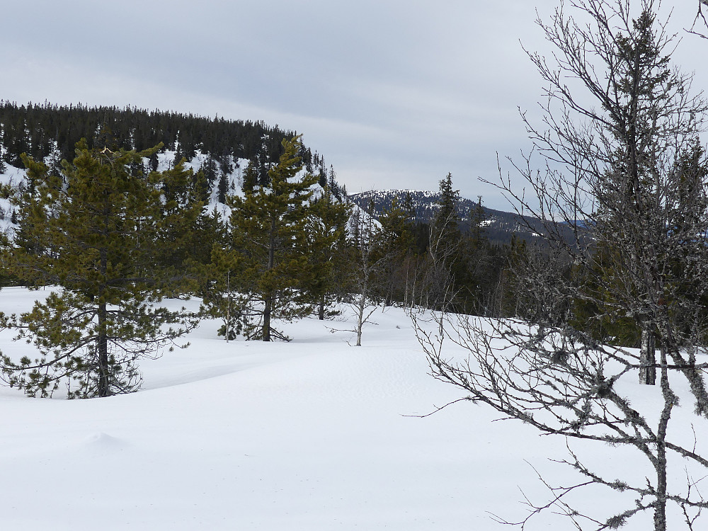 Desetknubben og Løssetknubben ses fra Skardhaugen, 765 moh.