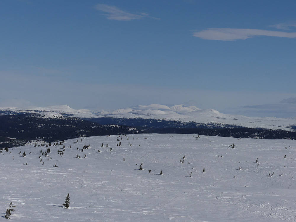 Fra Gråfjellet, 1009 moh. er det fin utsikt til Rendalssølen.