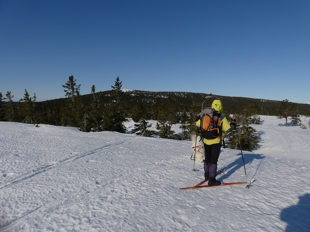 Turid og Anton på toppen av Digeråsen, 716 moh.