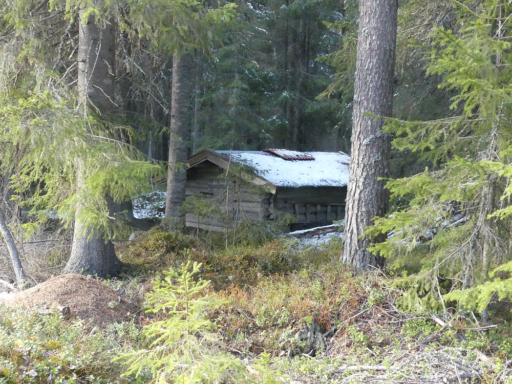 Gammel ljorekoie et sted i nybergsskogene.