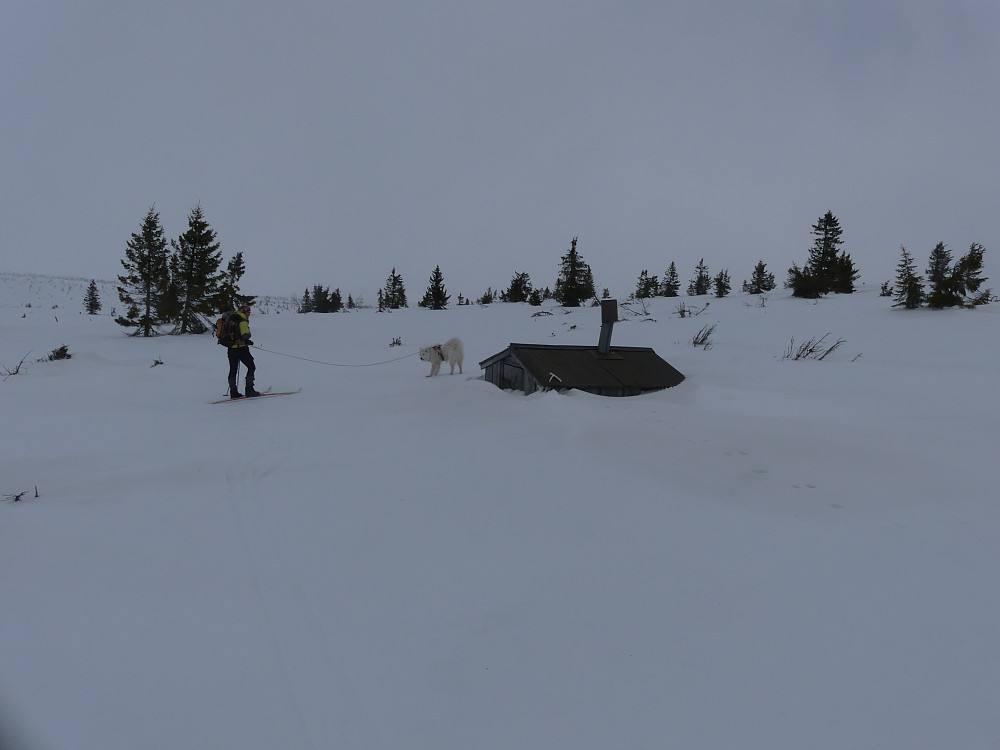 Ved Fleskekassa. Minst en meter med snø her!