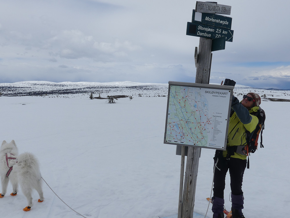 På turens høyeste kul, Søre Raudfjellet eller Mortenshøgda som den også kalles, 919 moh.