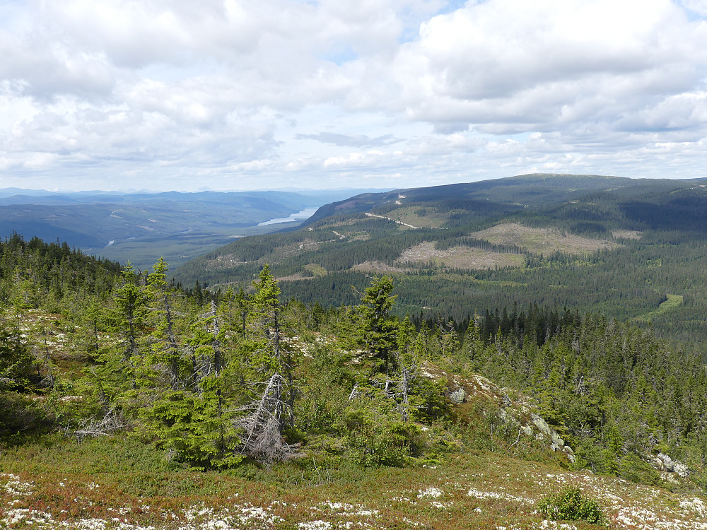 Nordover til Storsjøen og Rendalen.