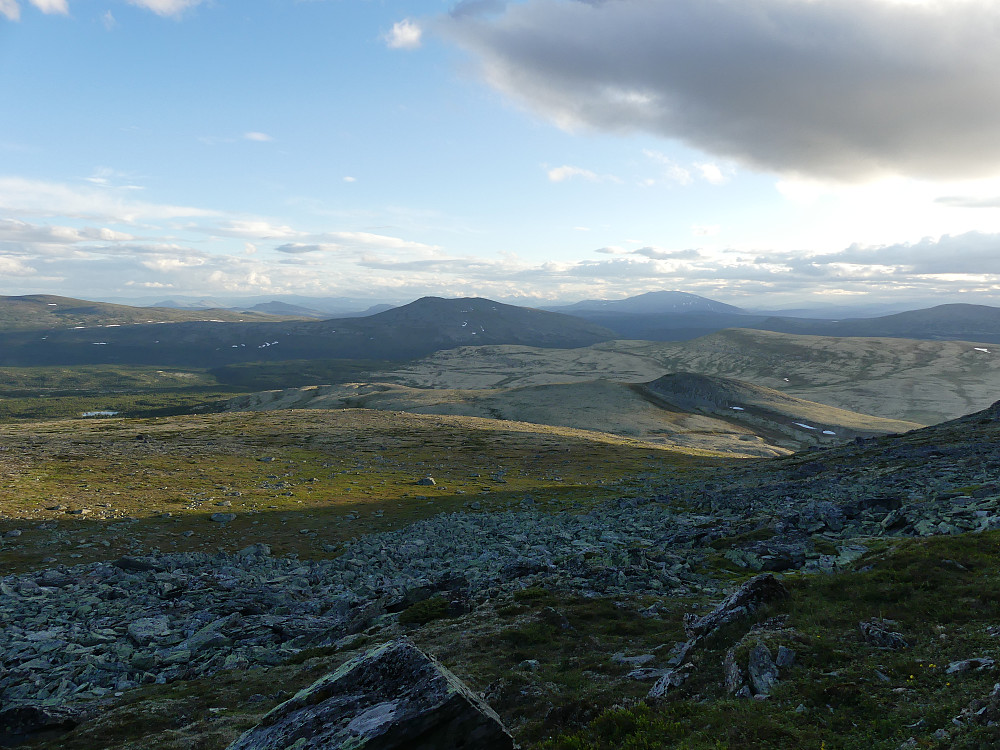 Utsikt fra Raudsjøtangen og vestover. Lengst bak ruver Tronfjell. Høa midt på bildet er Spekehøa. 