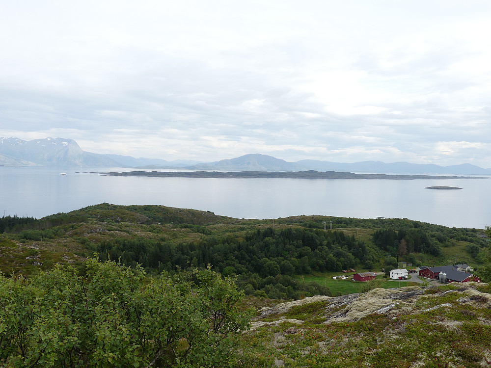 Den flate Ylvingen fra Ørntuva.