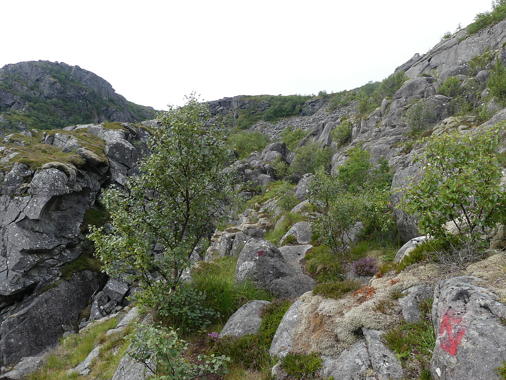 Stien går opp om Hestvikskaret.