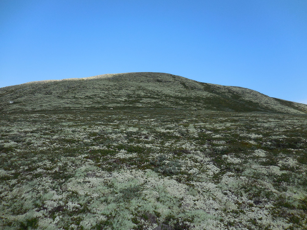 Nordre Silikampen fra Slettfjellet.