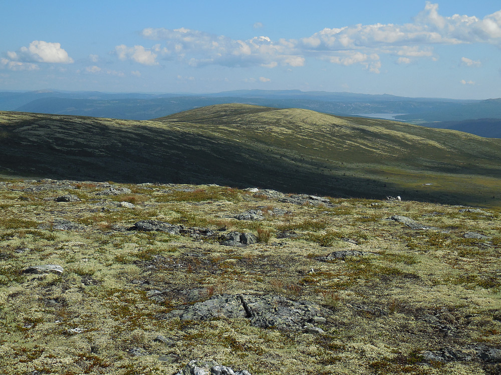 Langfjellet.