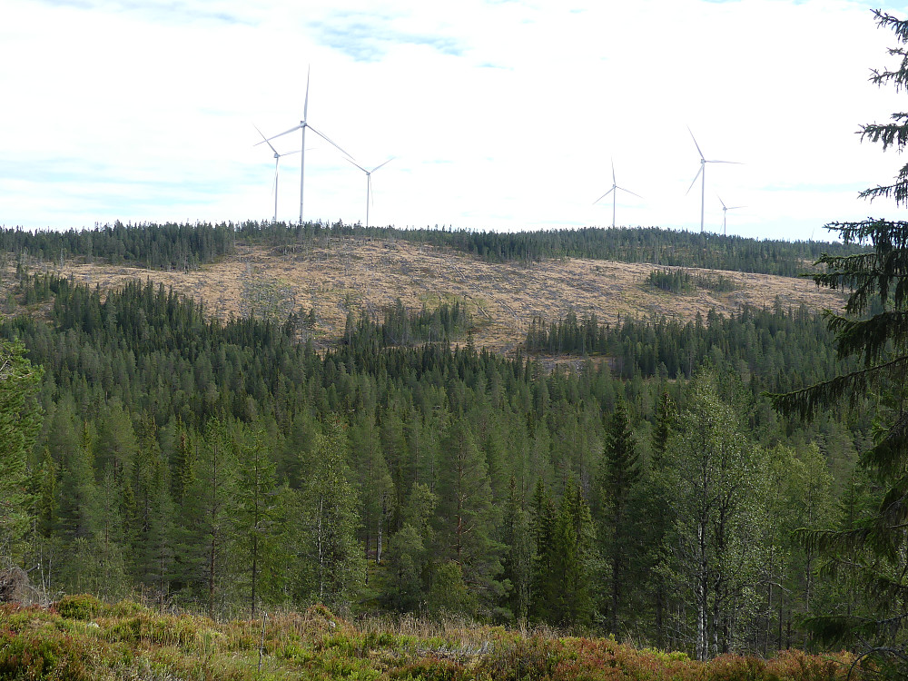 Fra dagens høyeste, Slettrusken Øst, 620 moh. og mot Raskiftet. Det er fristende å tro at den enorme hogstflata er blitt til for å skape mer vind til turbinene!