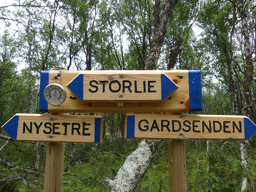 Vi følger sti fra Nysætre, gjennom Storlie og til Gardsenden.