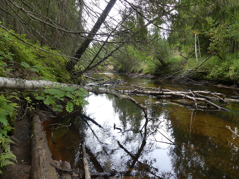 Julussa som betyr den lydløse, er ei av få elver i Sør-Norge som renner nordover.