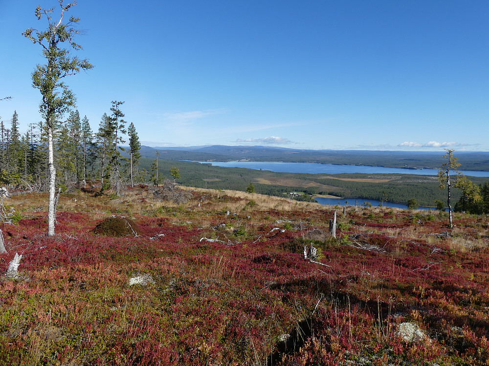 Med utsikt til Osensjøen og Osdalen fra Merraåsen, 677 moh.