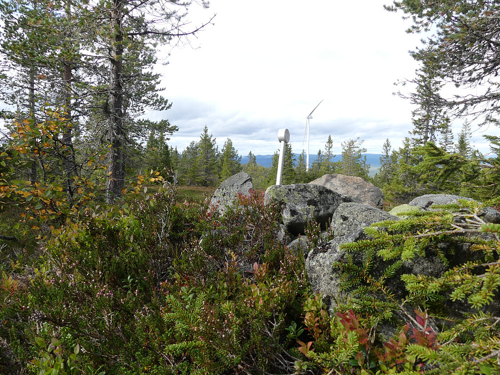 På Gullåsen, 791 moh.