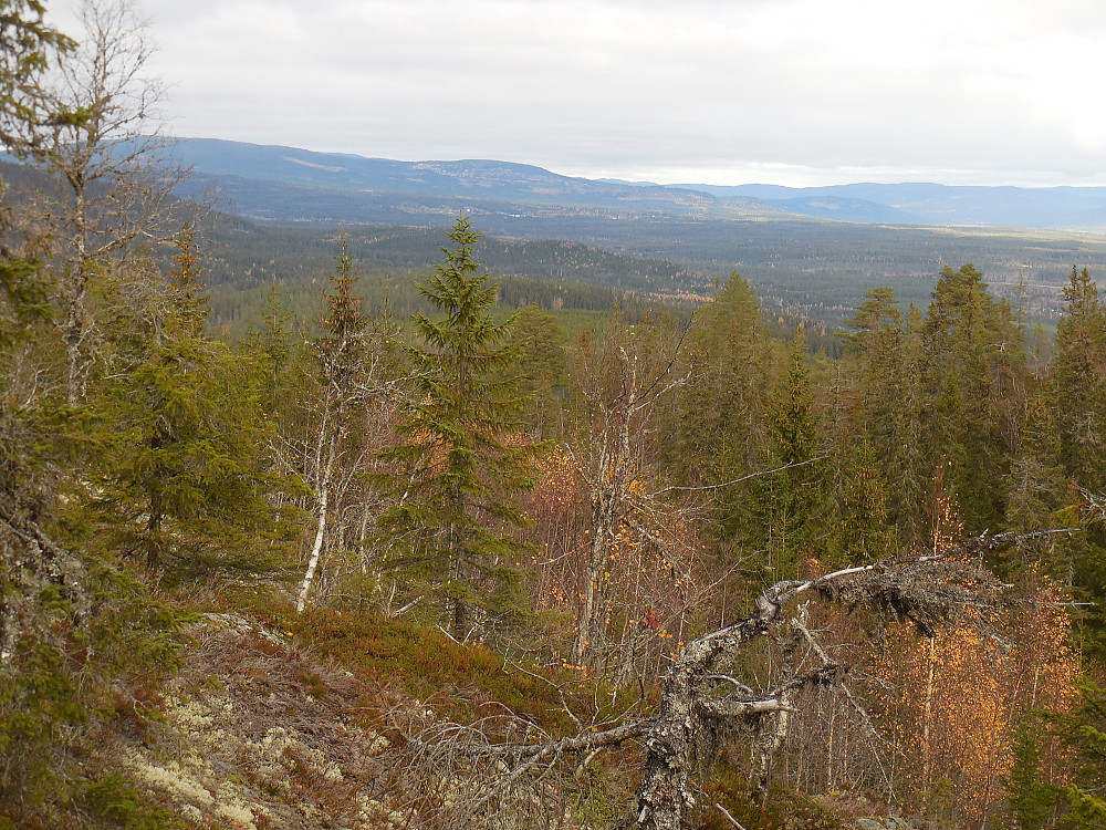 Utsikt til Engulvsfjellet og Digeråsen.