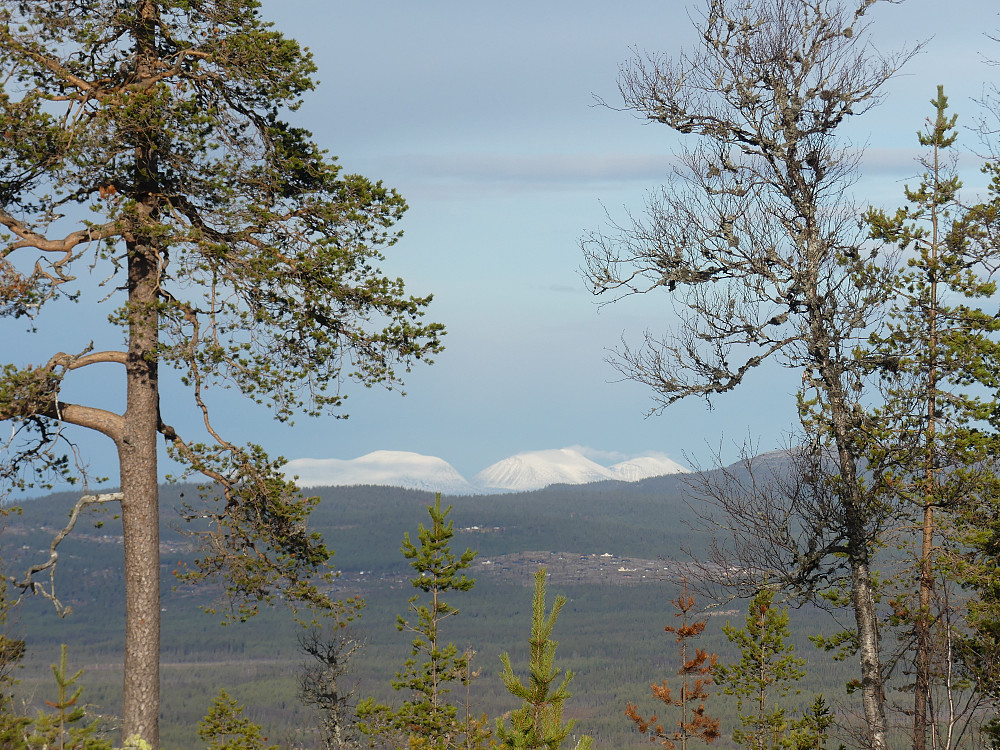 Utsikt også til Rendalssølen og til..