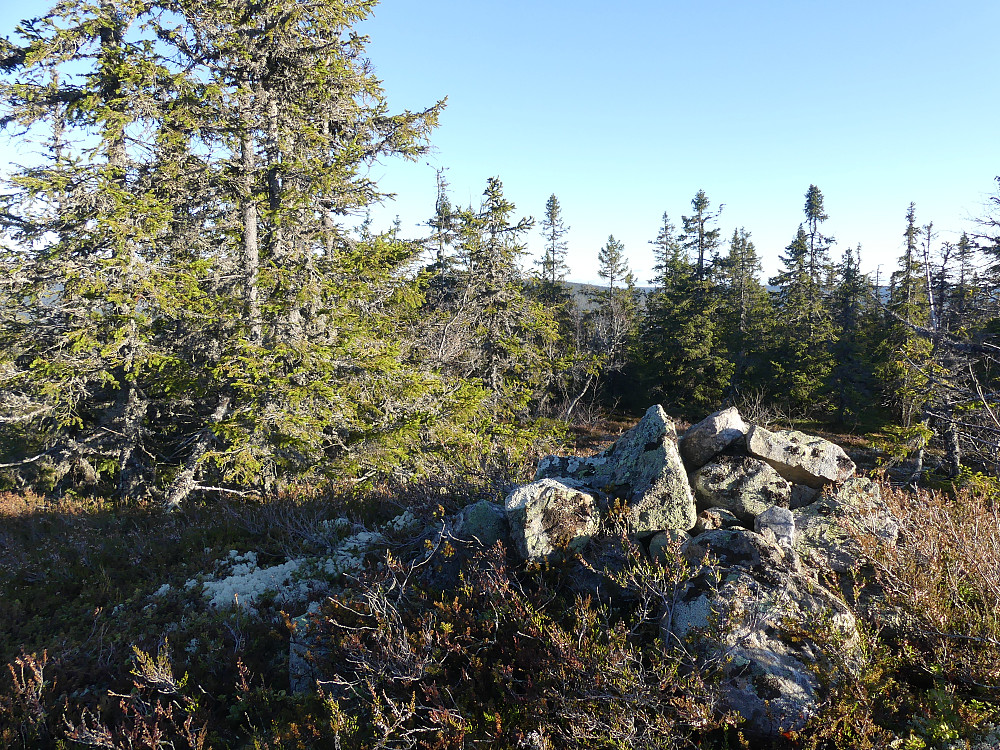 Ved toppvarden på Nilsberget, 815 moh.