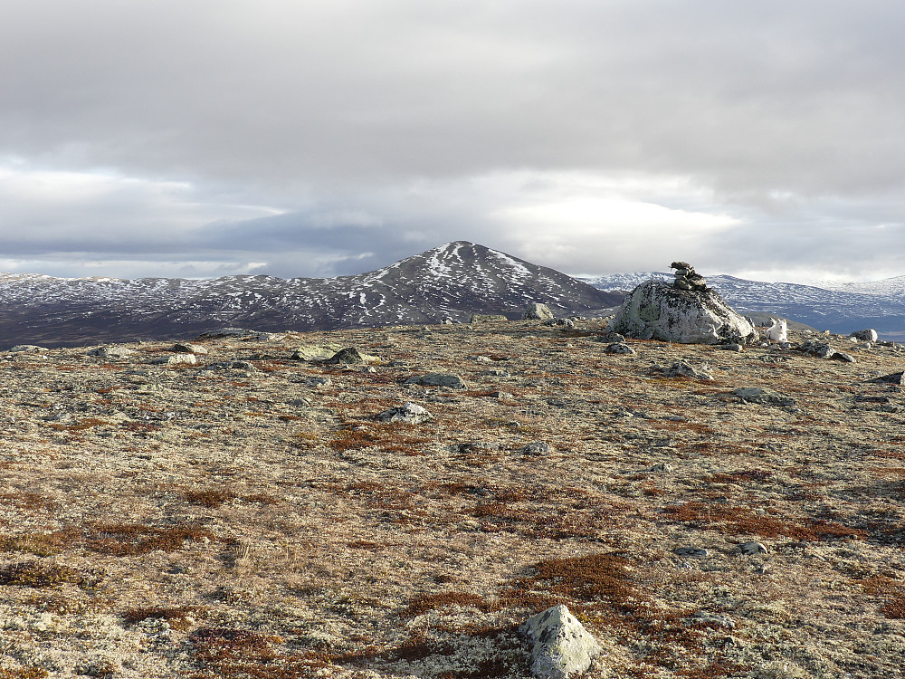 Grønhøe fra toppen av Tunghøe, 1190 moh.