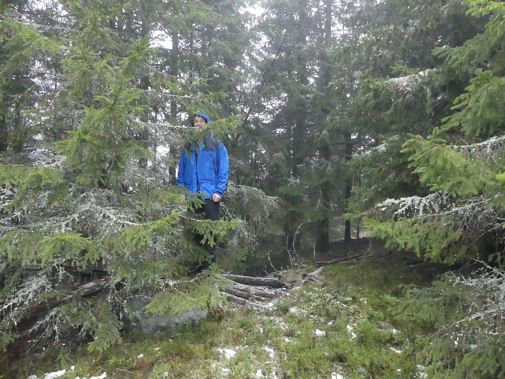 På toppen av Kalpetterhaugen, 385 moh.