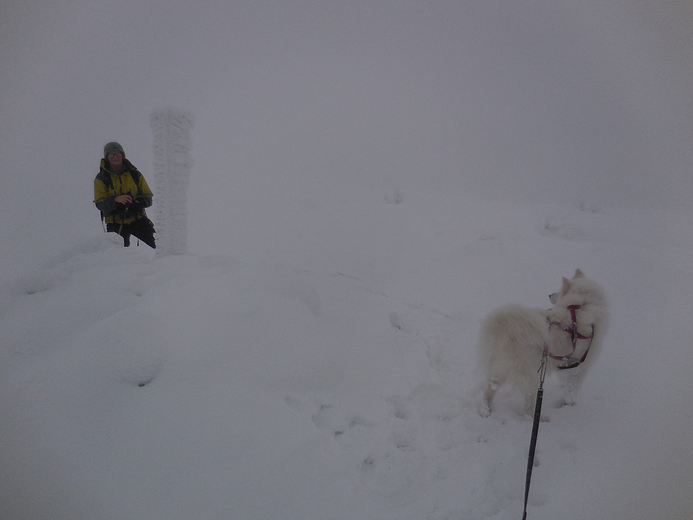 Det er megatjukk tåke på toppen av Fagerfjellet, 978 moh.