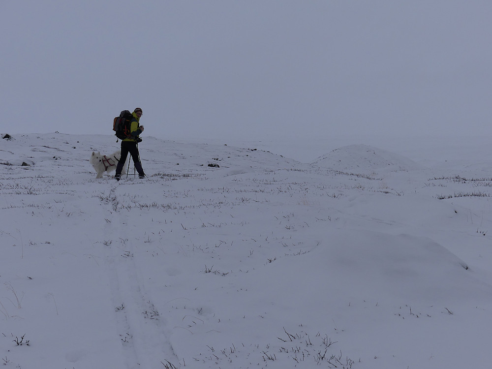 Opp langs nordsida av Foksådalen. Det er supert føre på det vesle som finnes av snø.
