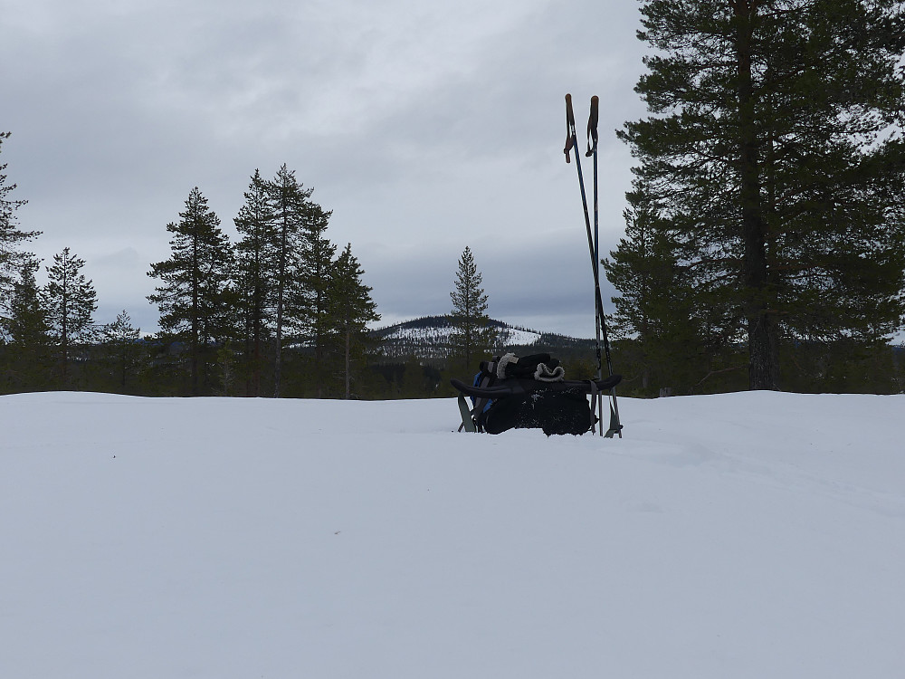 På Øst for Abbortjennet, 613 moh. med Gardbergskampen i bakgrunnen.