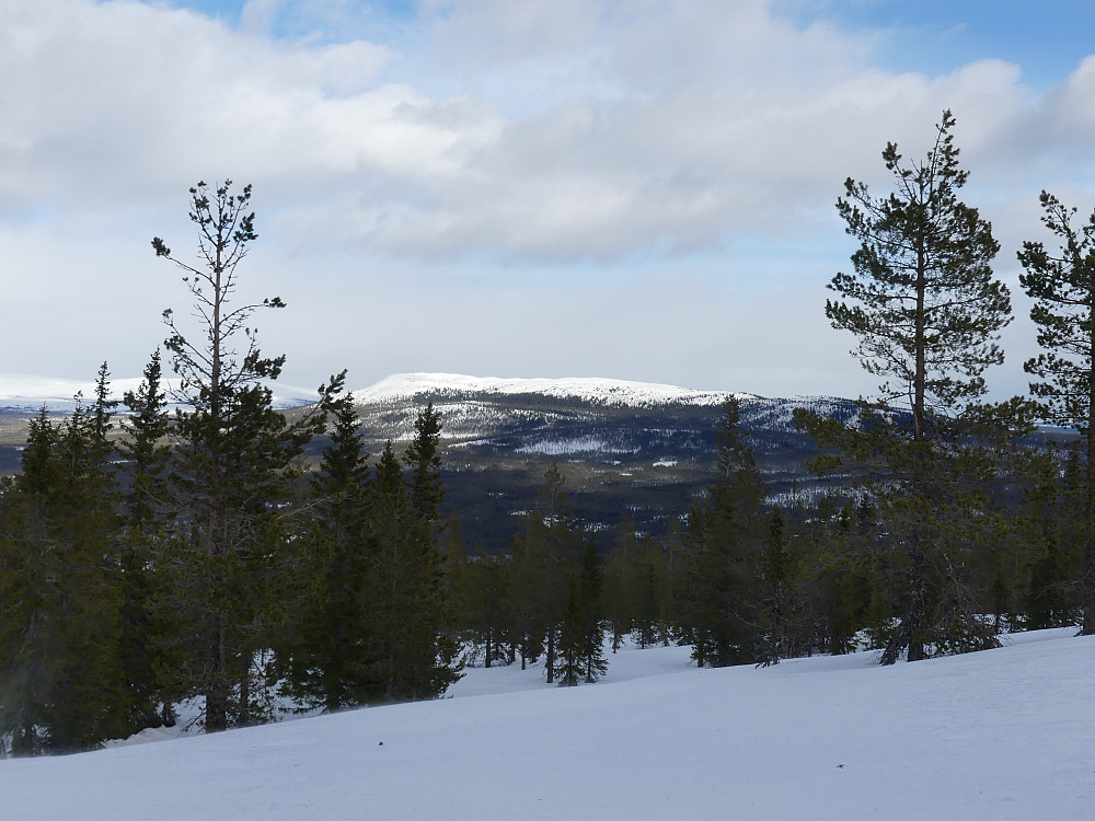 Blikufjellet sett fra Bjørnåsen.