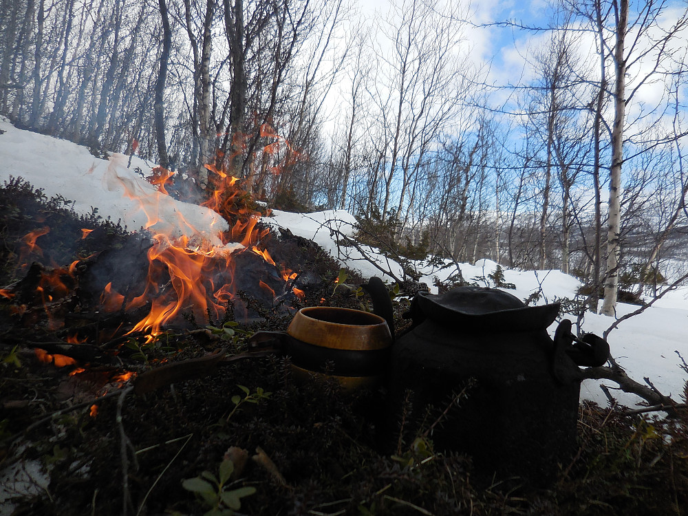 Det var godt å komme ned i skogen og i ly, lage skikkelig bål, og koke sterk kaffe!