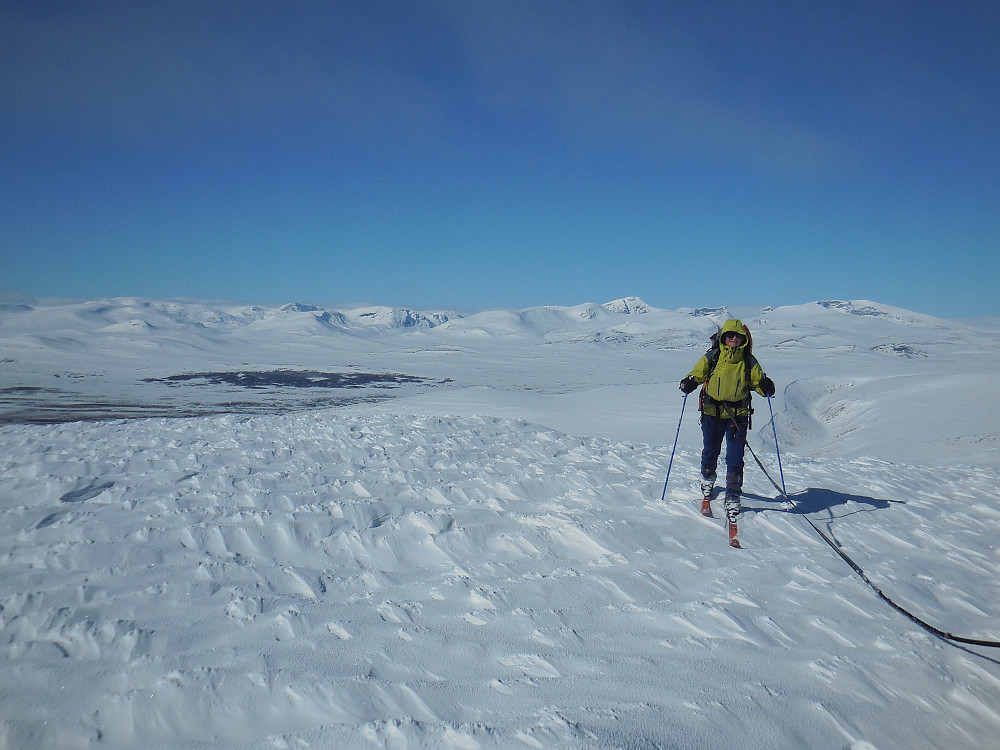 Flott utsikt til snøhettaområdet fra toppen av Storhøi, 1716 moh.